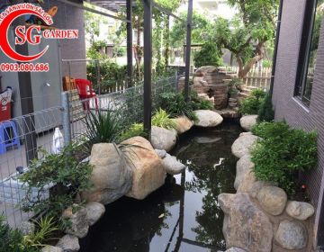 Công trình hồ cá koi sân vườn nhà chú dũng Quận Tân Bình
