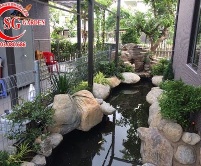 Công trình hồ cá koi sân vườn nhà chú dũng Quận Tân Bình