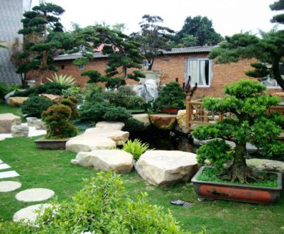 Thiết kế sân vườn biệt thự - Nguyên tắc cơ bản